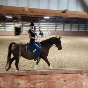 Meet your Posher, Kylee